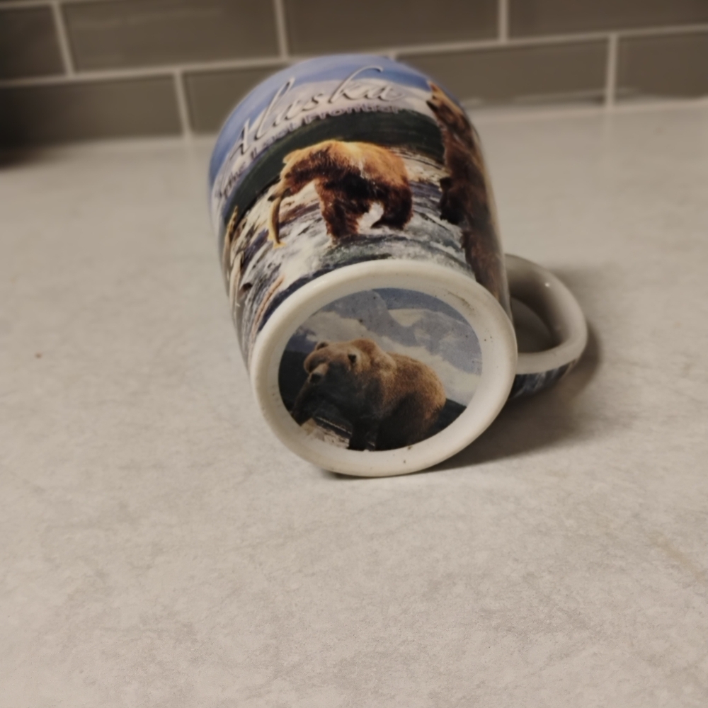 vintage 00s Alaska tourist souvenir COFFEE MUG graphic cup